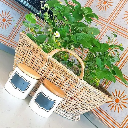 아파트 Casa Vista Vincent Accanto Alle Terme *